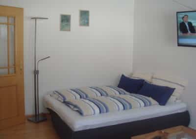 Schlafsofa 160 cm breit (2)