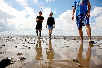 Wattwandern an der Nordsee 709